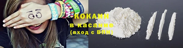 прущие крисы Аркадак