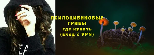 прущая мука Армянск