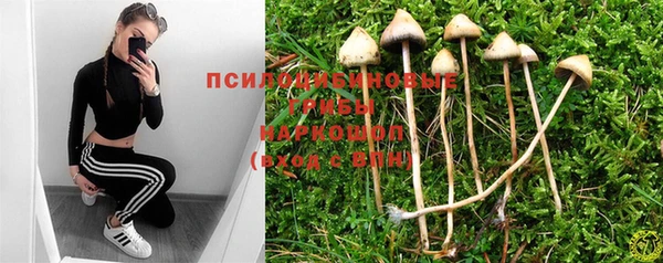 прущие крисы Аркадак