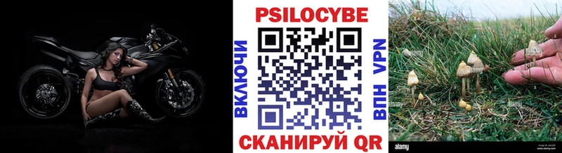 Галлюциногенные грибы Magic Shrooms Чапаевск