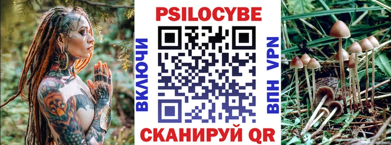 Галлюциногенные грибы Psilocybine cubensis Чапаевск