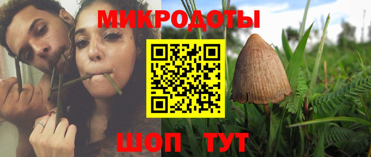 Галлюциногенные грибы MAGIC MUSHROOMS  Псилоцибиновые грибы Psilocybine cubensis  Чапаевск  Вход с VPN 